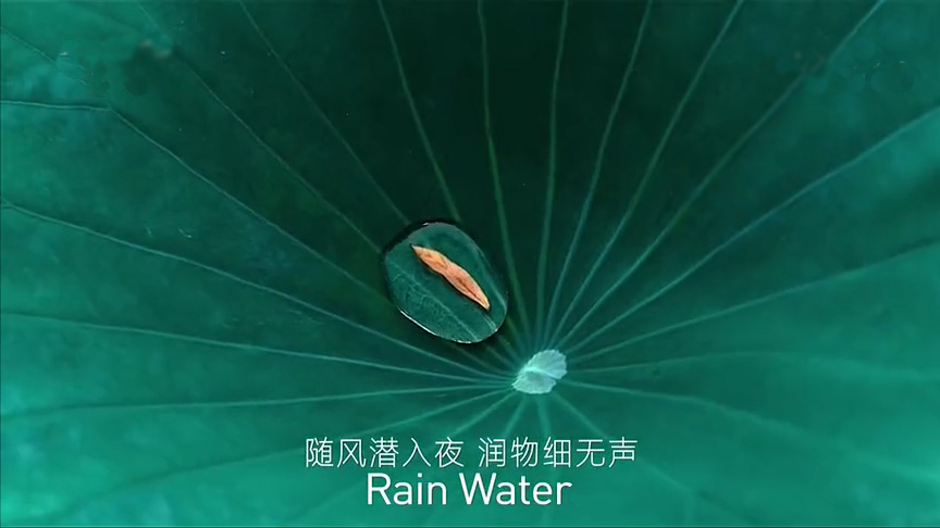 24节气-雨水
