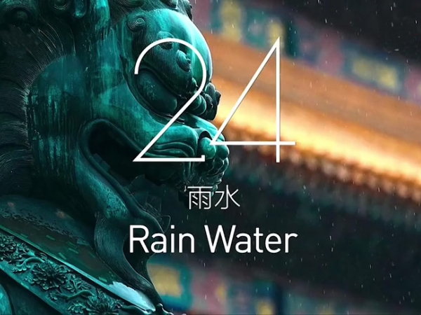 金中宏  24节气 -- 雨水